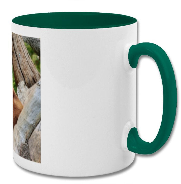 Bear Mug| Approach me at your own risk| coffee lover double coloured mug - Green